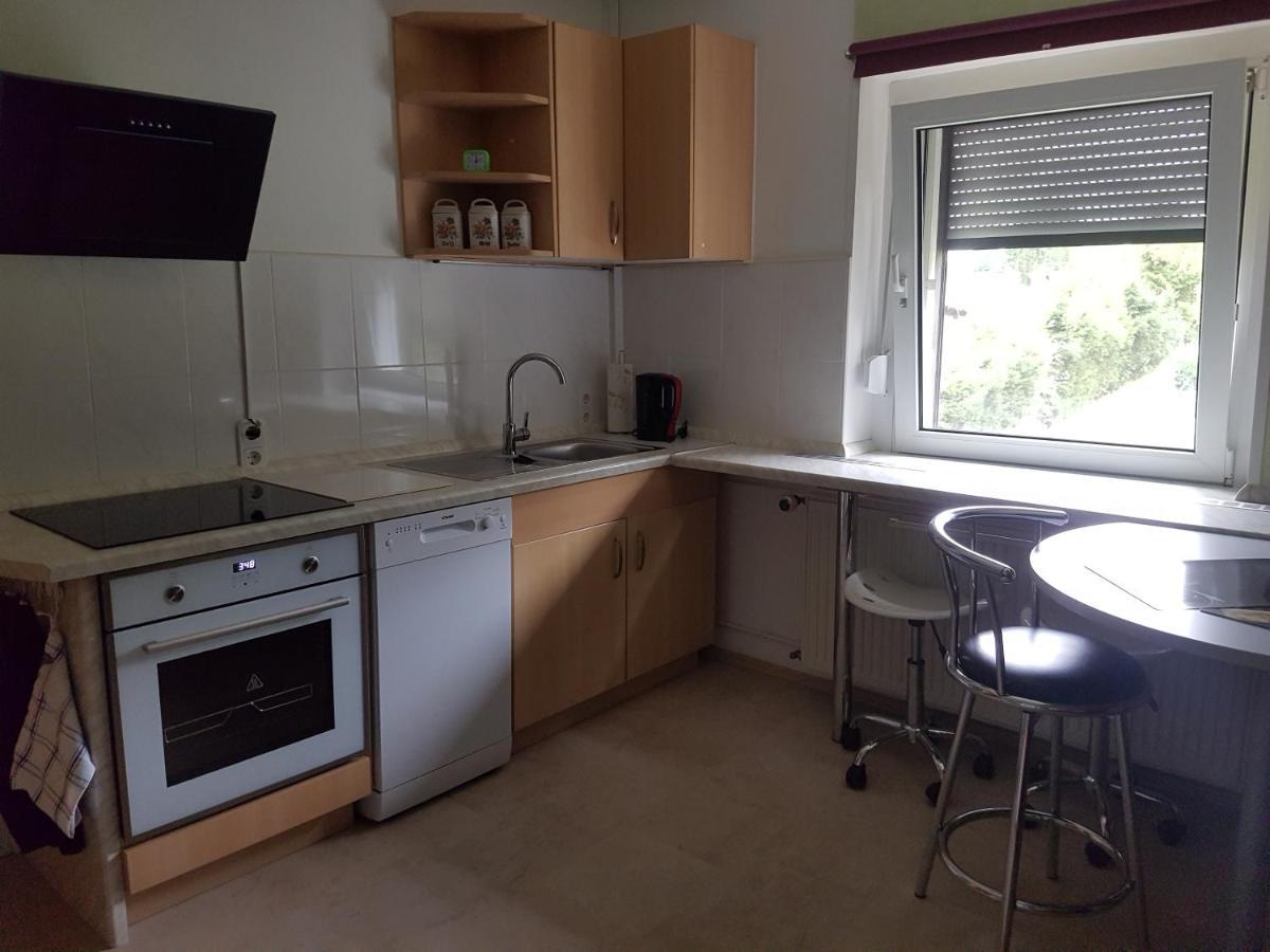 Apartamento Waldidylle Friedrichsbrunn Exterior foto