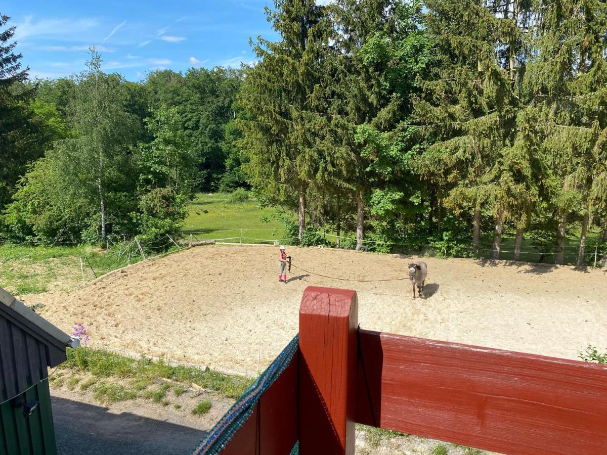 Apartamento Waldidylle Friedrichsbrunn Exterior foto